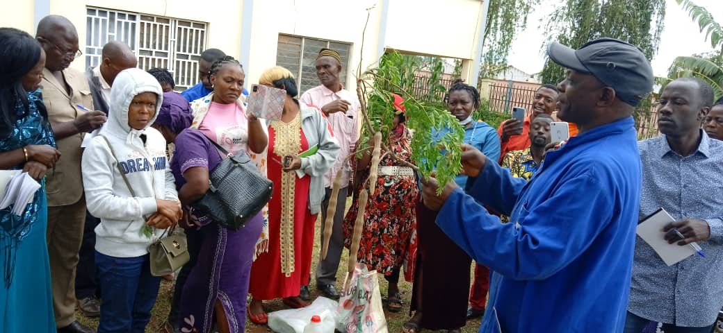 Agricultural Social Entrepreneurship Programme