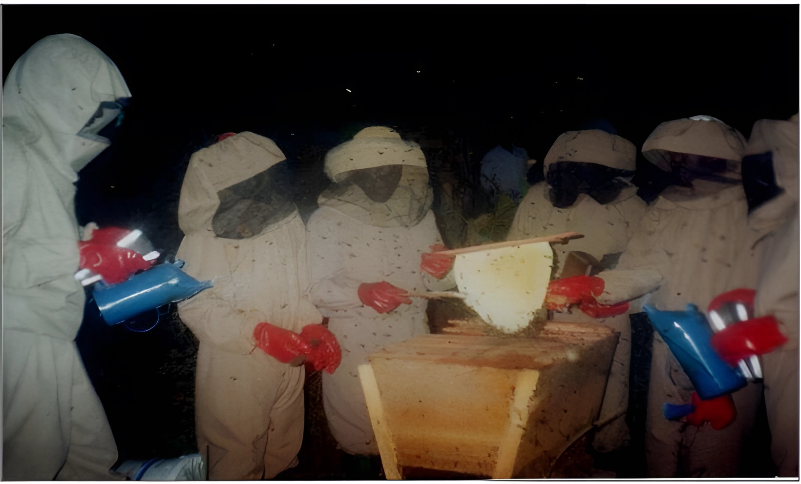 Beekeeping Programme